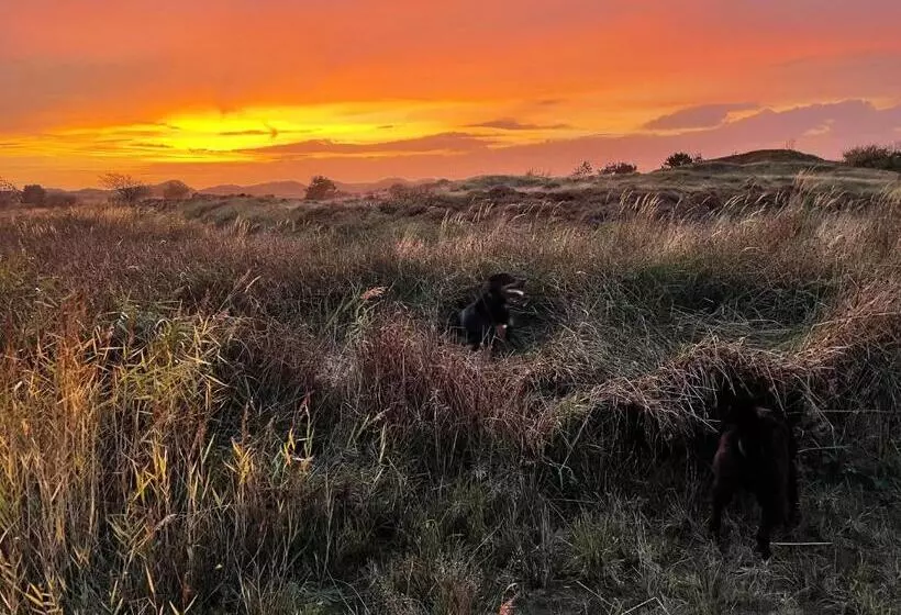 Aamiaismajoitus (B&B) Waves