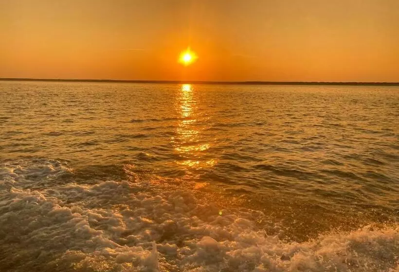 Aamiaismajoitus (B&B) Waves