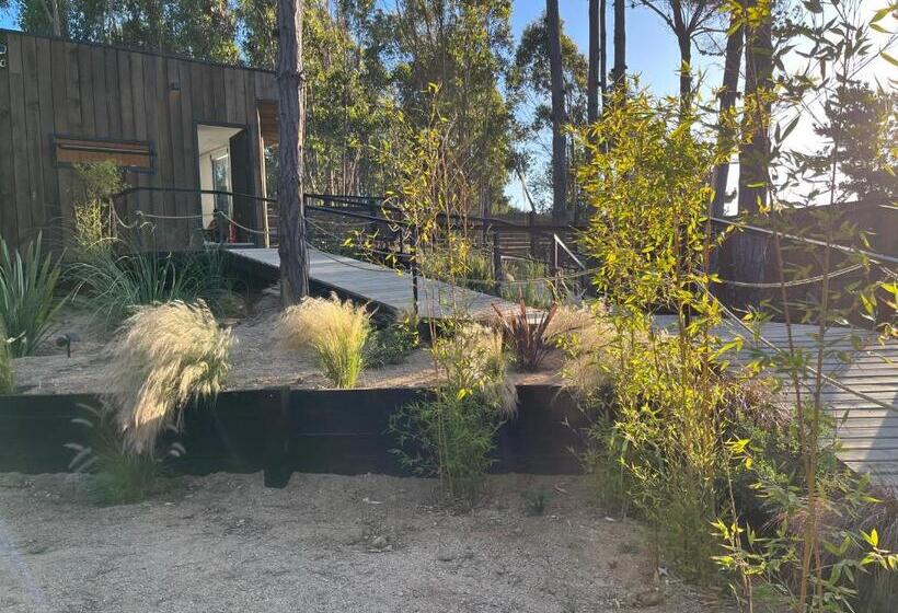 בית מלון כפרי Alma Lodge