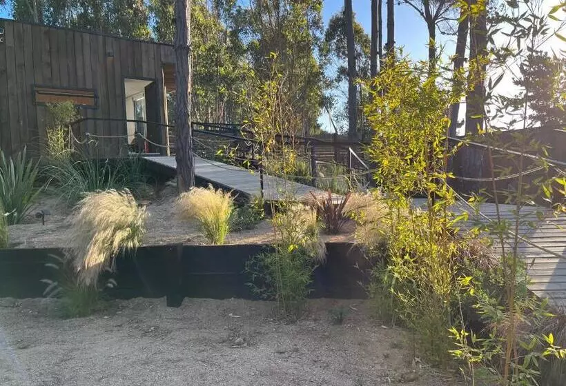 ホテル Alma Lodge