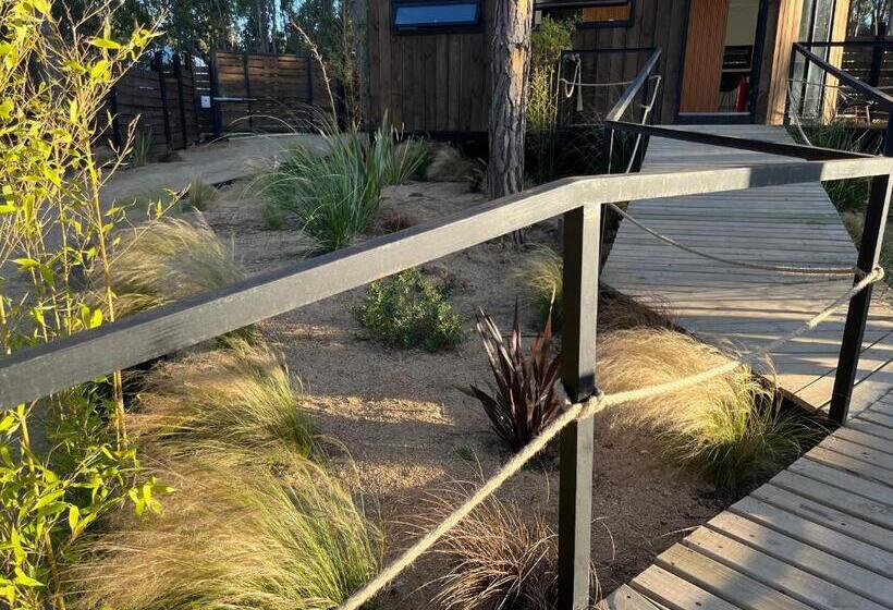 בית מלון כפרי Alma Lodge