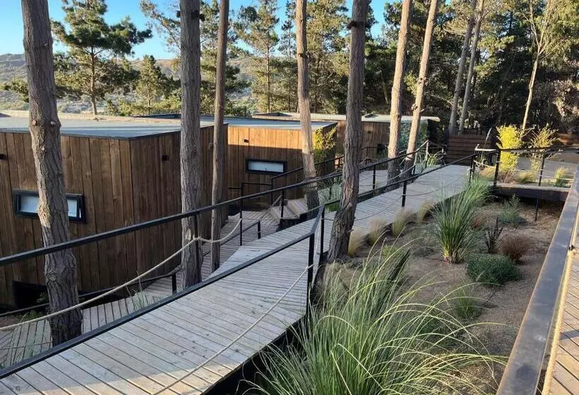 ホテル Alma Lodge