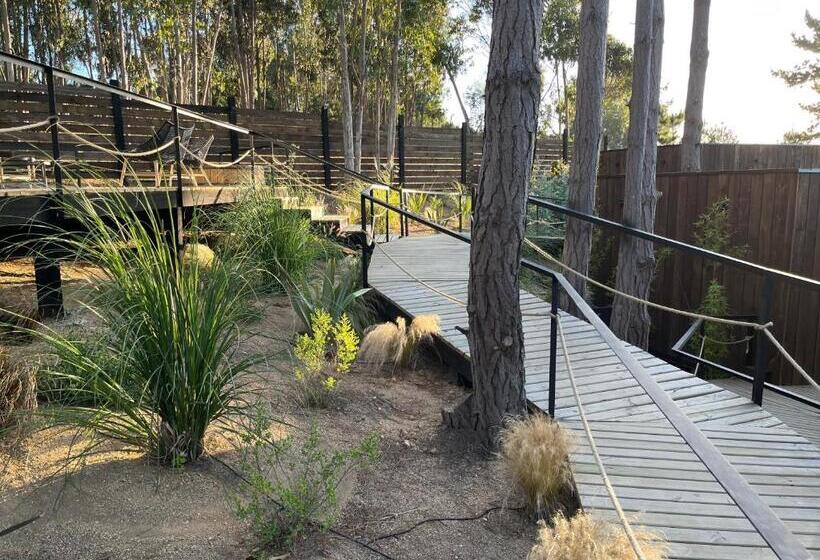 בית מלון כפרי Alma Lodge