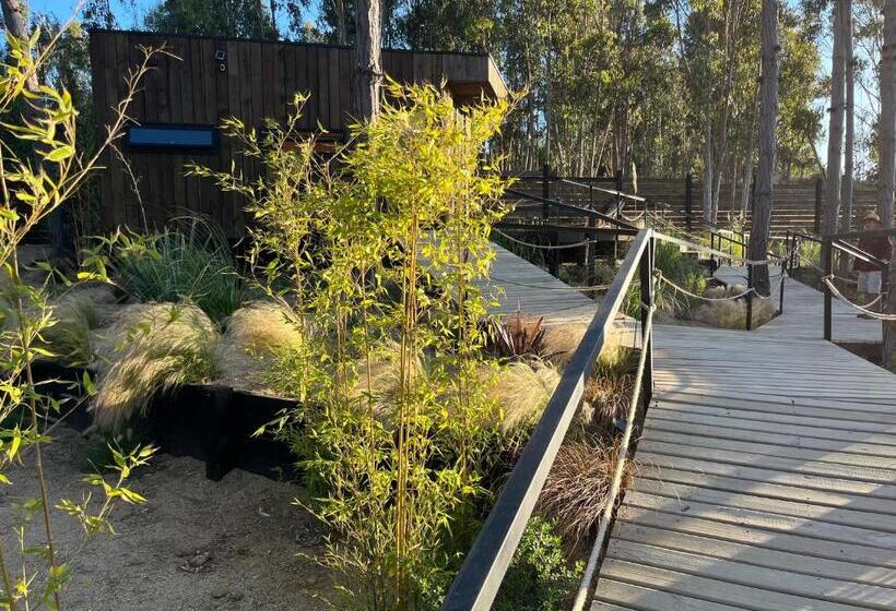 בית מלון כפרי Alma Lodge