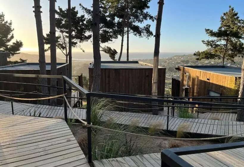 ホテル Alma Lodge