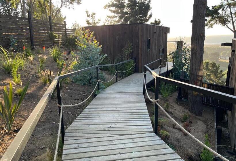 בית מלון כפרי Alma Lodge