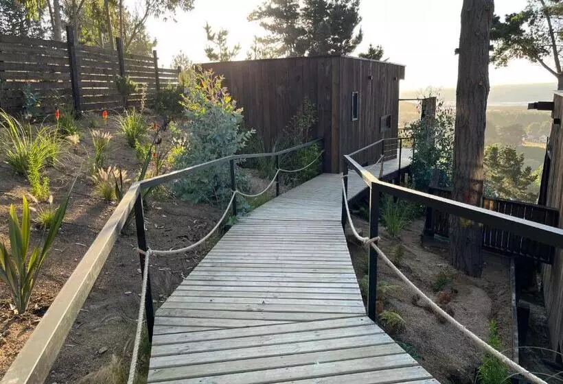 ホテル Alma Lodge