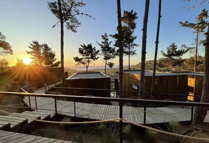 ホテル Alma Lodge