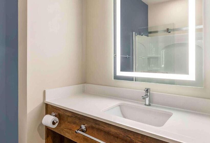 Отель Extended Stay America Premier Suites  Fredericksburg