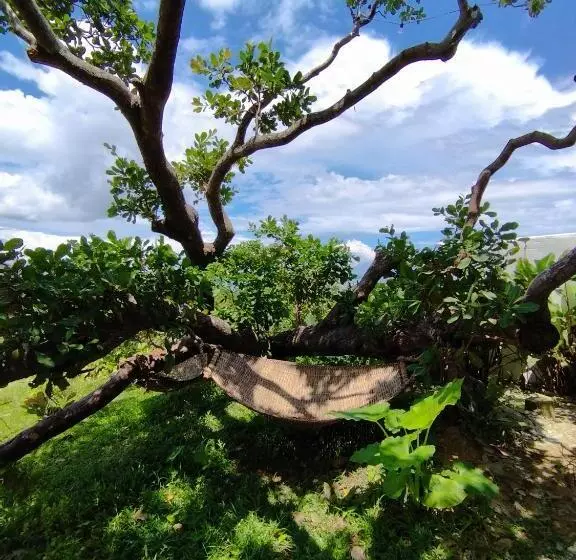 Hotelli Ocean Green Eco Lodge