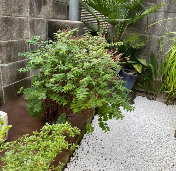 Season Guest House In Nishi Shinjuku 100 Square Meters, 4 Bedrooms, 2 Living Rooms