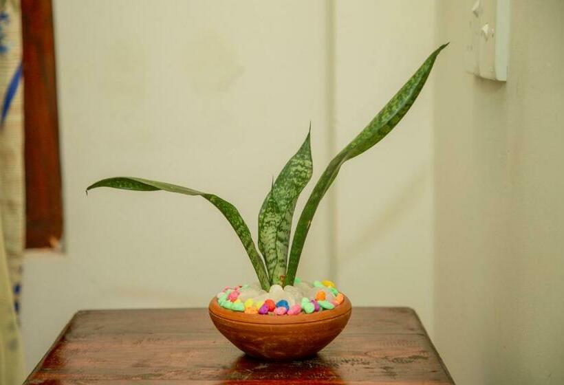 צימר La Isla Villa