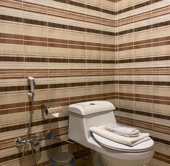 فندق القصر المطار