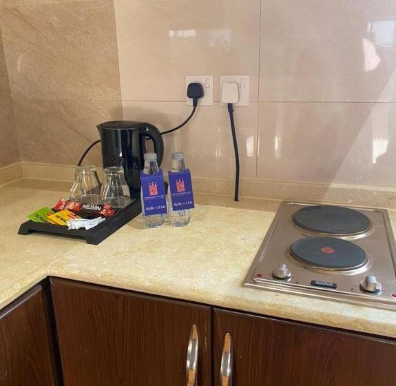 فندق القصر المطار