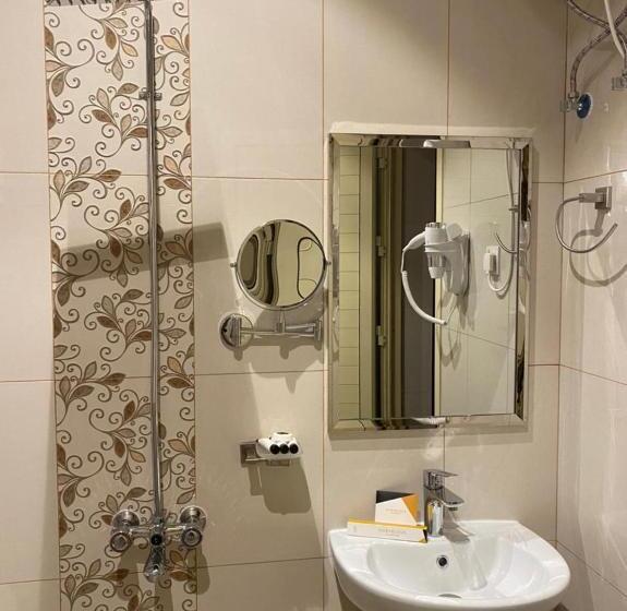 فندق القصر المطار