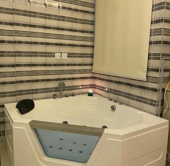 فندق القصر المطار