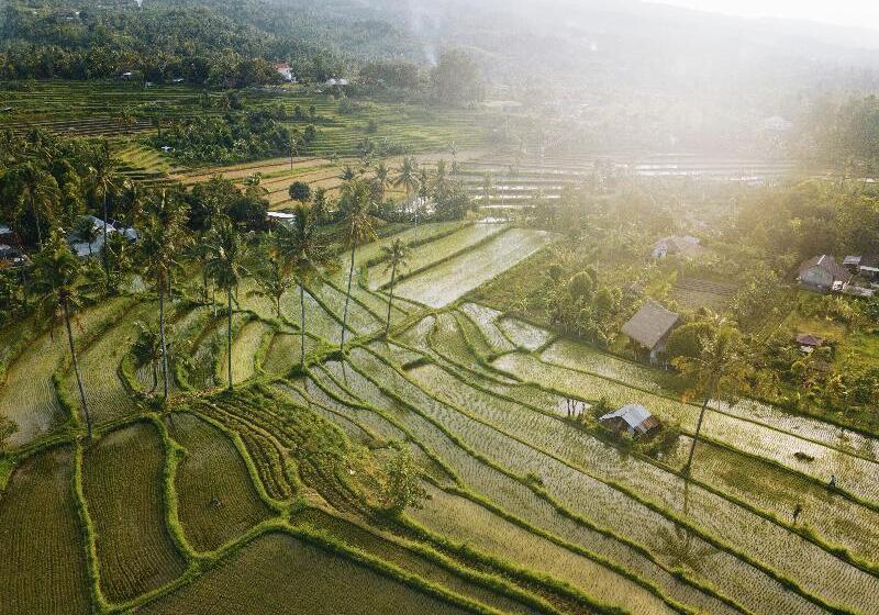 Maha Hills Resort By Mahaprana Experience