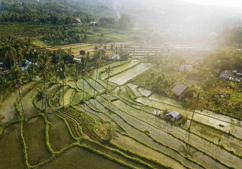 Maha Hills Resort By Mahaprana Experience