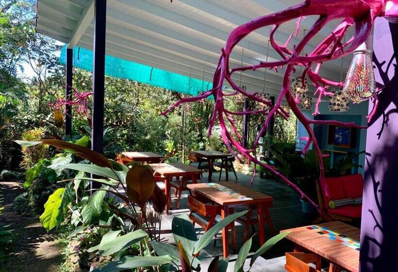 ホテル Chirripo Art