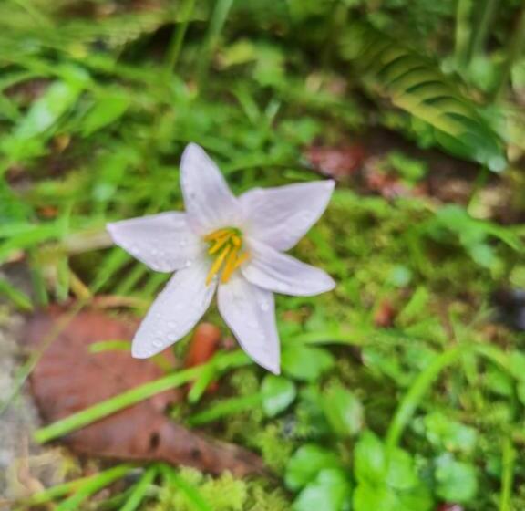 ホテル Chirripo Art