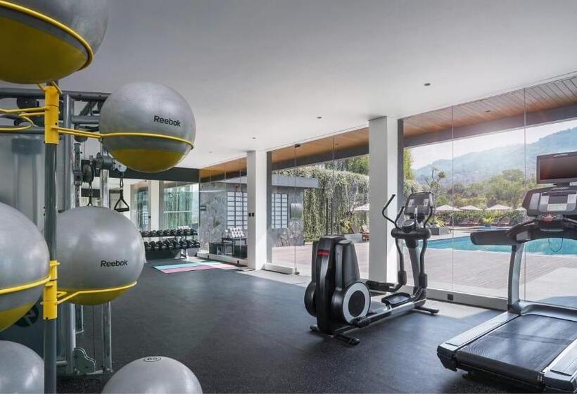 בית מלון כפרי Forest Hills