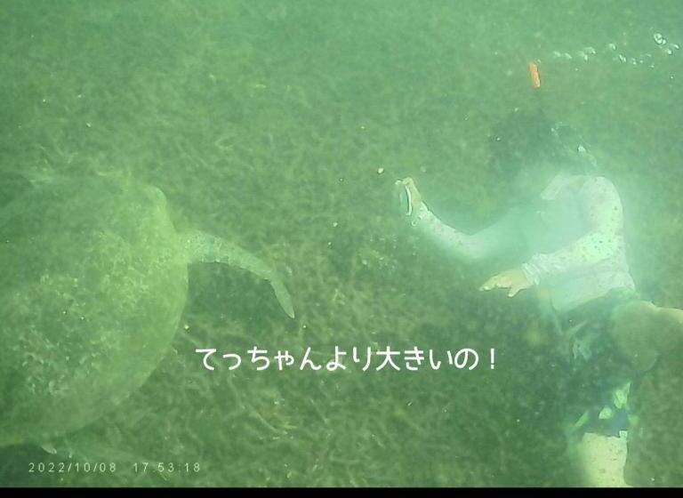 ホテル Ok2 Mamajim Bungalows