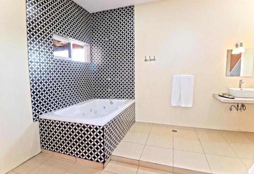 호텔 Punta Palmeras