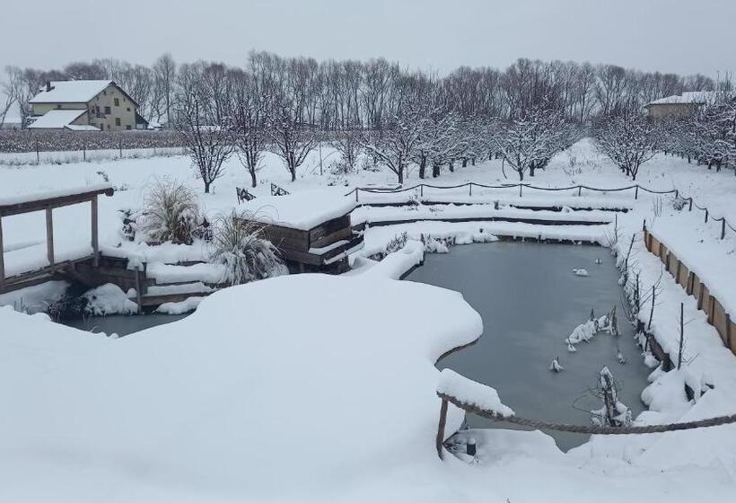 פנסיון Casa Danei