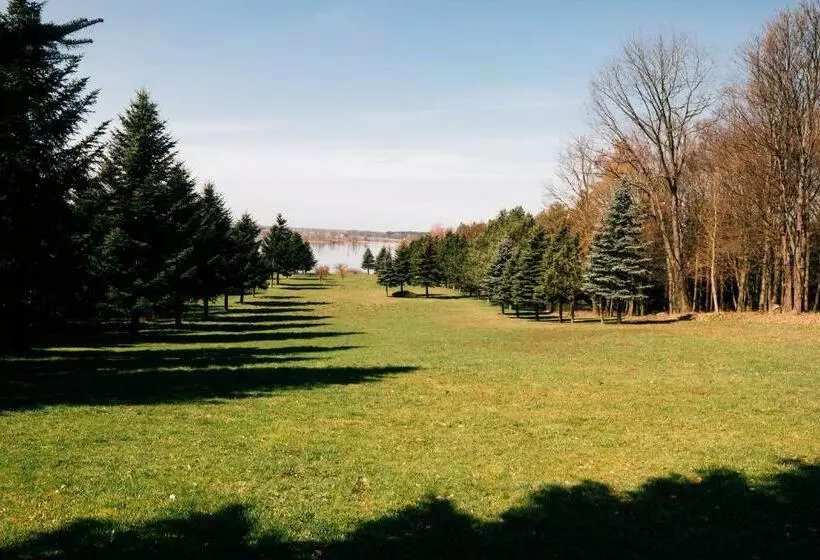 The View