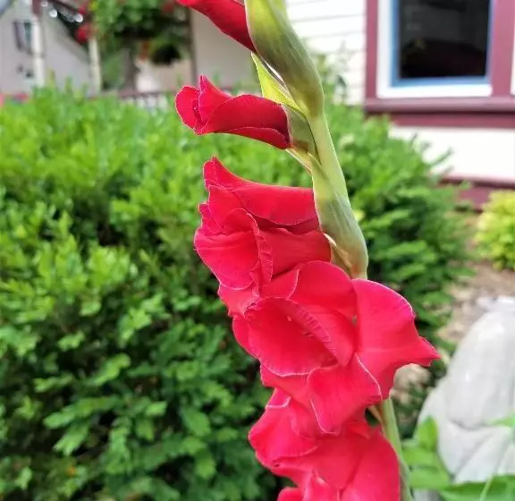 5 Ojo Inn Bed And Breakfast