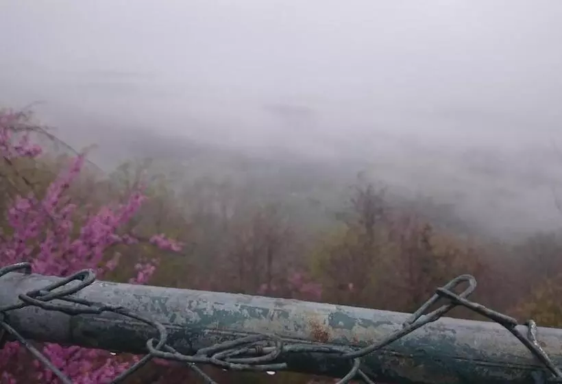 5 Ojo Inn Bed And Breakfast