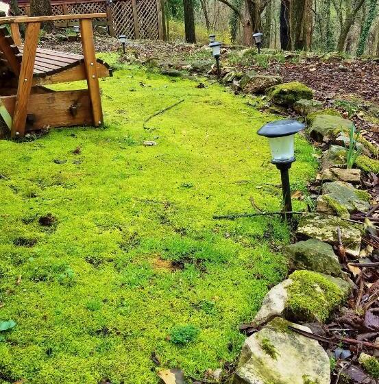 5 Ojo Inn Bed And Breakfast