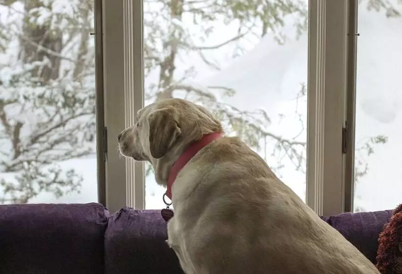 민박 Admiral Peary Inn