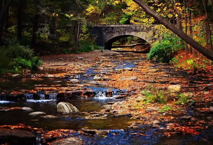 Allegiance Bed And Breakfast