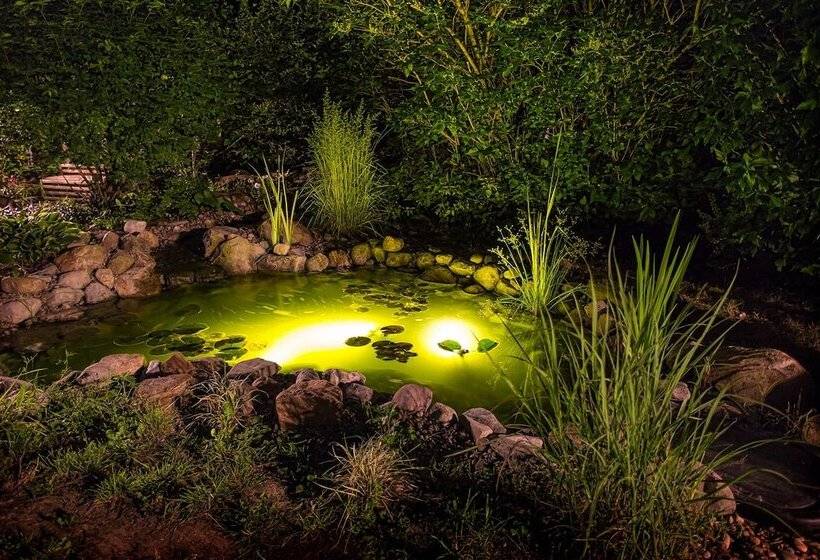 Allegiance Bed And Breakfast