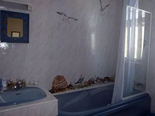 Ammonite B&b