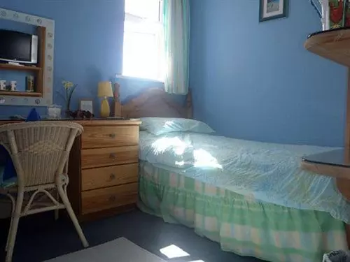 Ammonite B&b
