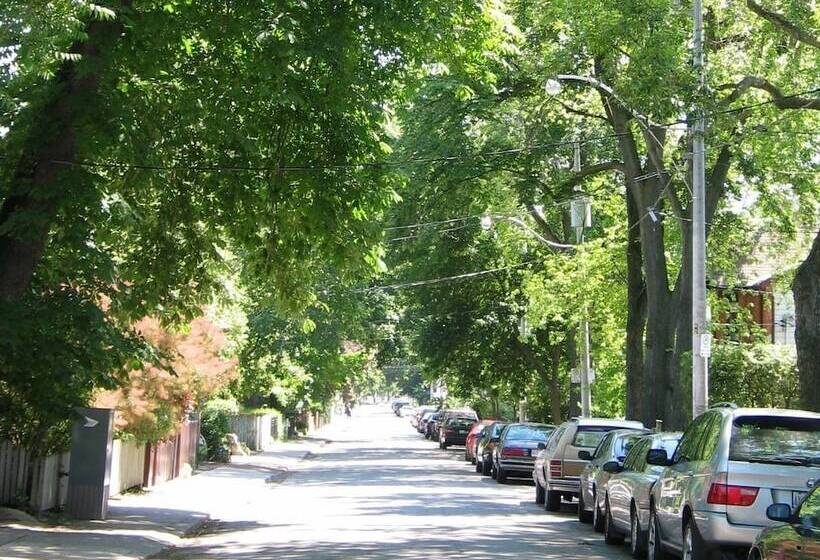 مبيت وإفطار A Seaton Dream