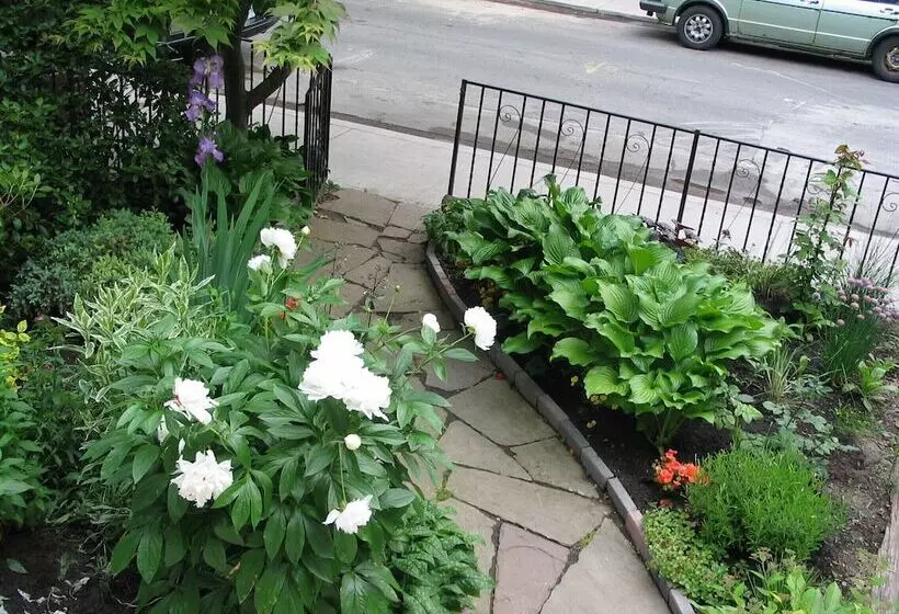 住宿加早餐  A Seaton Dream