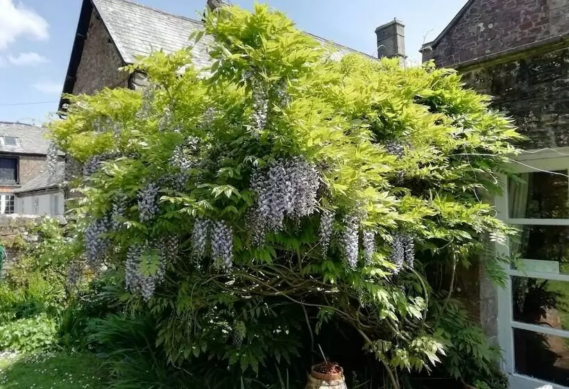 Bed and Breakfast Court Barn Country House