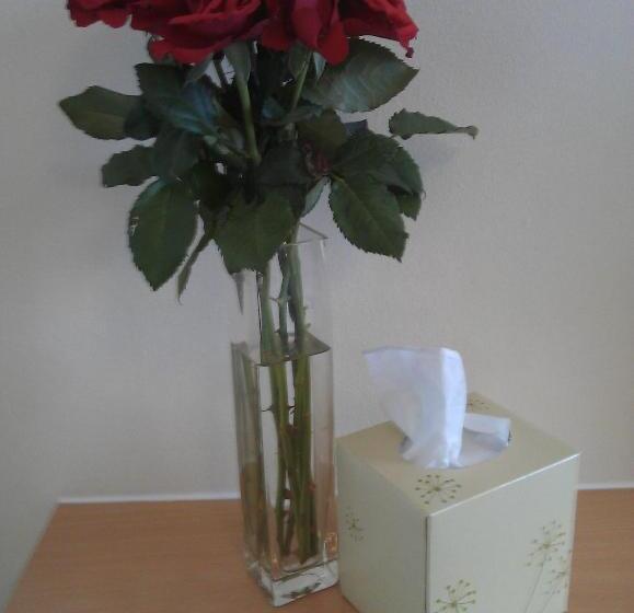 ベッドアンドブレックファースト Crofton Guest House