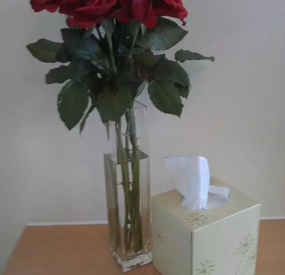 ベッドアンドブレックファースト Crofton Guest House