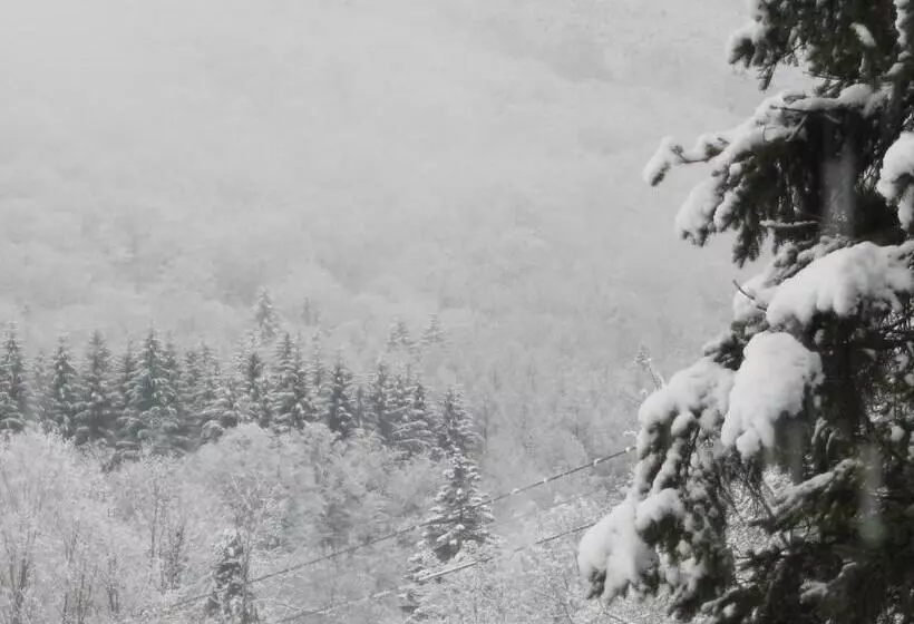 Bed and Breakfast Deerhill Inn