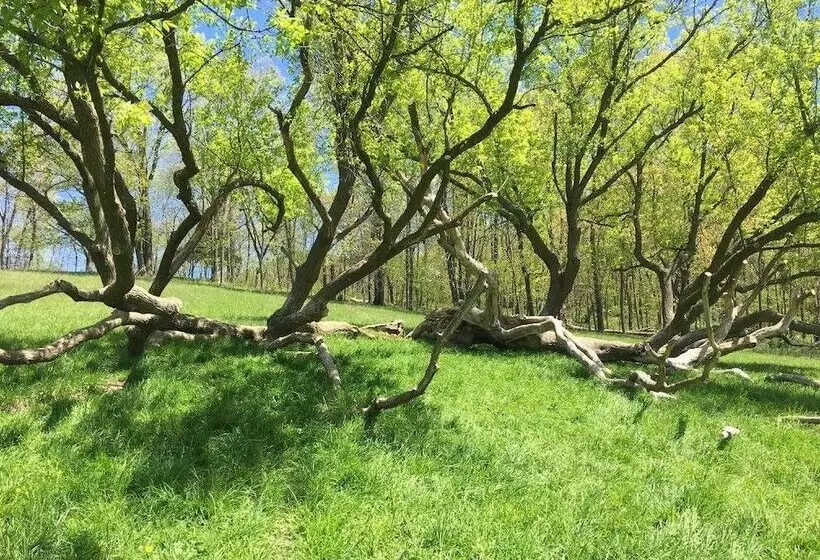 민박 Rainbow Ridge Farms