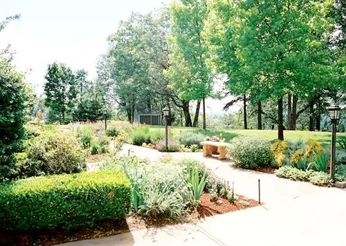 Bed and Breakfast Sierra Sun Cloud Inn  Colfax