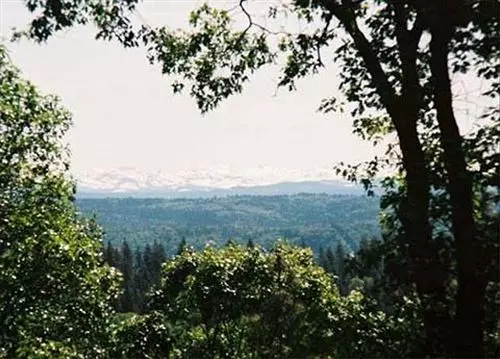 Bed and Breakfast Sierra Sun Cloud Inn  Colfax