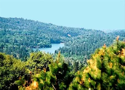 Bed and Breakfast Sierra Sun Cloud Inn  Colfax