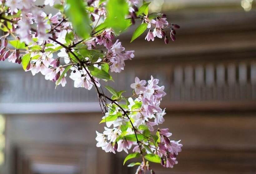 Bed and Breakfast Tower