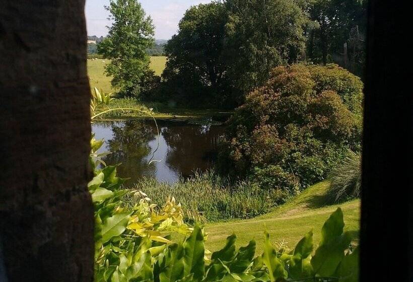 Bed and Breakfast Tower