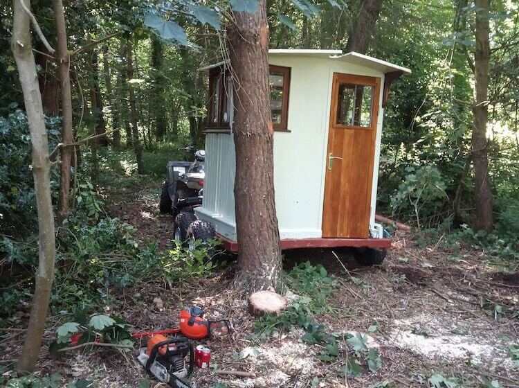 Bed and Breakfast Tower